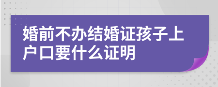 婚前不办结婚证孩子上户口要什么证明