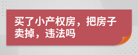 买了小产权房，把房子卖掉，违法吗
