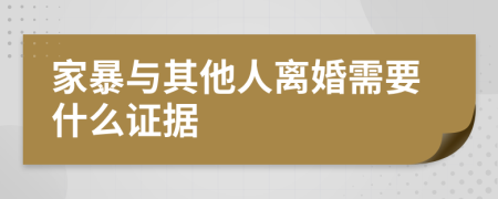 家暴与其他人离婚需要什么证据