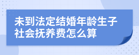 未到法定结婚年龄生子社会抚养费怎么算