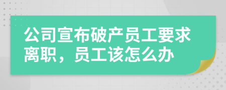 公司宣布破产员工要求离职，员工该怎么办