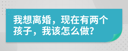 我想离婚，现在有两个孩子，我该怎么做？