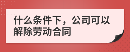 什么条件下，公司可以解除劳动合同