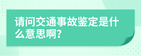 请问交通事故鉴定是什么意思啊？