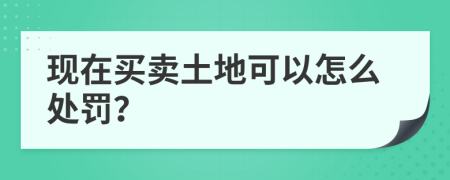 现在买卖土地可以怎么处罚？