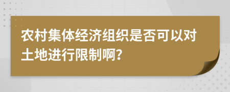 农村集体经济组织是否可以对土地进行限制啊？