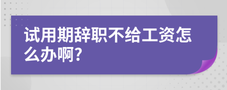 试用期辞职不给工资怎么办啊?