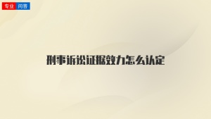 刑事诉讼证据效力怎么认定