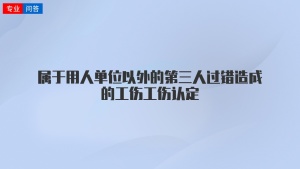 属于用人单位以外的第三人过错造成的工伤工伤认定