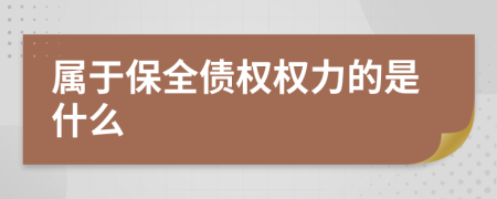 属于保全债权权力的是什么