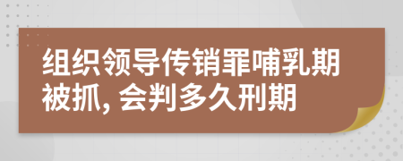 组织领导传销罪哺乳期被抓, 会判多久刑期