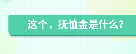 这个，抚恤金是什么？