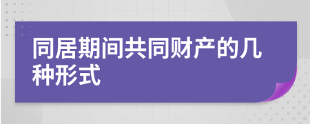 同居期间共同财产的几种形式