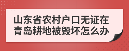 山东省农村户口无证在青岛耕地被毁坏怎么办