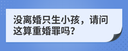 没离婚只生小孩，请问这算重婚罪吗？