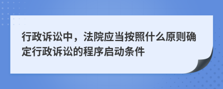 行政诉讼中，法院应当按照什么原则确定行政诉讼的程序启动条件