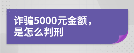 诈骗5000元金额，是怎么判刑