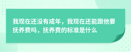 我现在还没有成年，我现在还能跟他要抚养费吗，抚养费的标准是什么