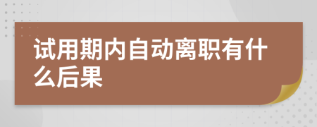 试用期内自动离职有什么后果