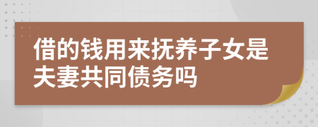 借的钱用来抚养子女是夫妻共同债务吗