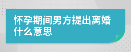 怀孕期间男方提出离婚什么意思