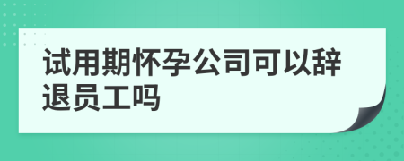 试用期怀孕公司可以辞退员工吗