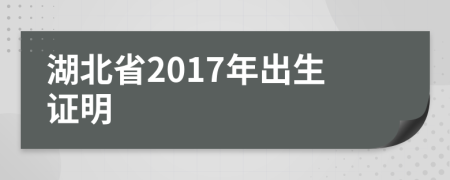 湖北省2017年出生证明