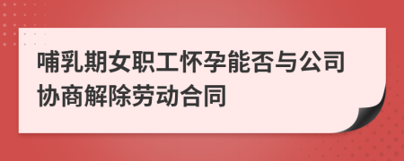 哺乳期女职工怀孕能否与公司协商解除劳动合同