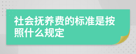 社会抚养费的标准是按照什么规定