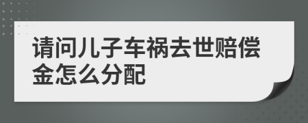 请问儿子车祸去世赔偿金怎么分配