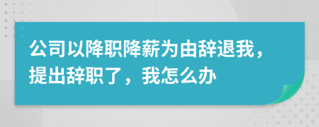 公司以降职降薪为由辞退我，提出辞职了，我怎么办