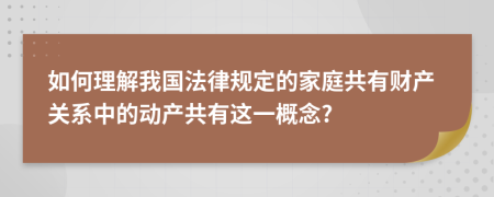 如何理解我国法律规定的家庭共有财产关系中的动产共有这一概念?