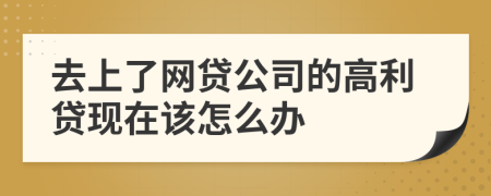 去上了网贷公司的高利贷现在该怎么办