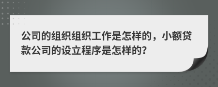 公司的组织组织工作是怎样的，小额贷款公司的设立程序是怎样的？