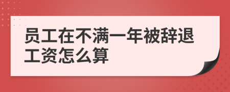 员工在不满一年被辞退工资怎么算