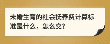 未婚生育的社会抚养费计算标准是什么，怎么交？