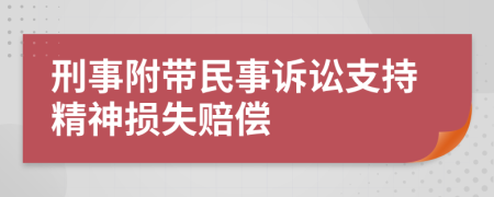 刑事附带民事诉讼支持精神损失赔偿