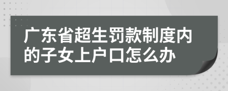 广东省超生罚款制度内的子女上户口怎么办