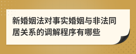 新婚姻法对事实婚姻与非法同居关系的调解程序有哪些