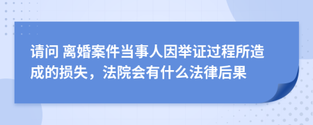 请问 离婚案件当事人因举证过程所造成的损失，法院会有什么法律后果