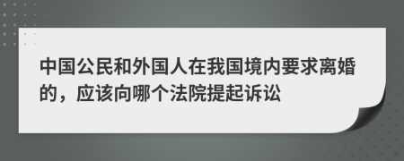 中国公民和外国人在我国境内要求离婚的，应该向哪个法院提起诉讼