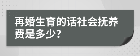 再婚生育的话社会抚养费是多少？