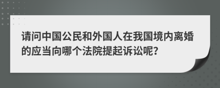 请问中国公民和外国人在我国境内离婚的应当向哪个法院提起诉讼呢？