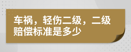 车祸，轻伤二级，二级赔偿标准是多少