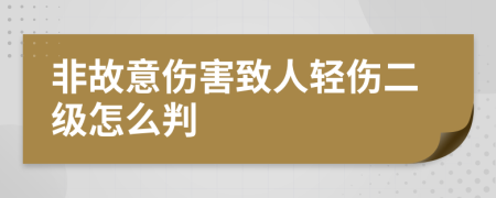 非故意伤害致人轻伤二级怎么判