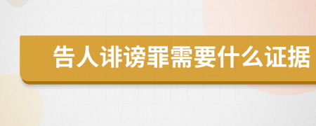 告人诽谤罪需要什么证据