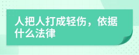人把人打成轻伤，依据什么法律