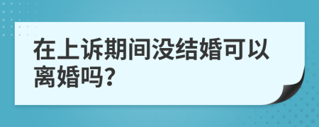 在上诉期间没结婚可以离婚吗？