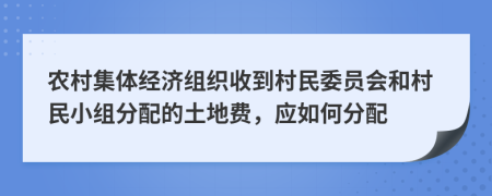 农村集体经济组织收到村民委员会和村民小组分配的土地费，应如何分配