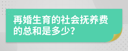 再婚生育的社会抚养费的总和是多少？